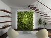 indoor-plant-4